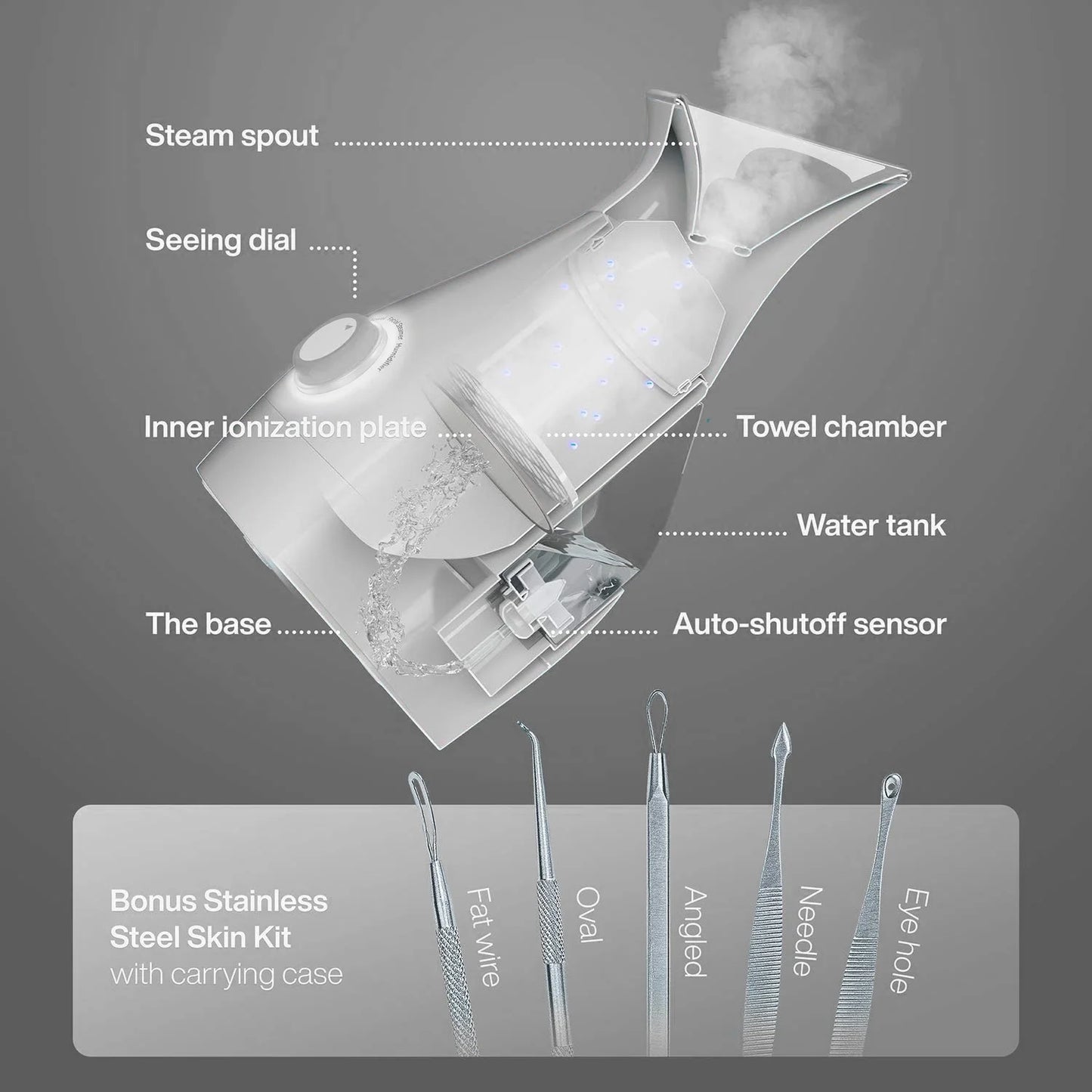 Nano Steamer 3-In-1 Ionic Facial Nano Facial Mister 5-Piece Stainless Steel Skin Kit (Silver)